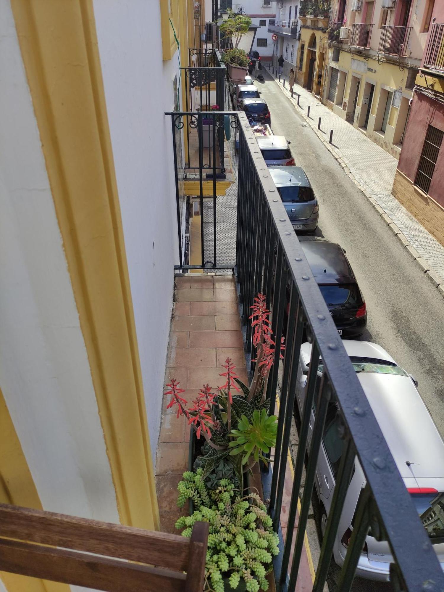 דירות סביליה Vive Triana מראה חיצוני תמונה